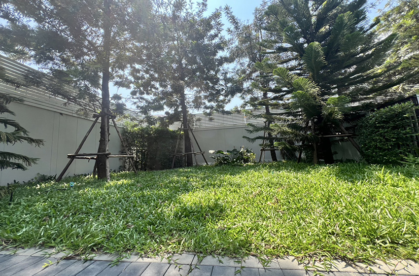 House in Sukhumvit 