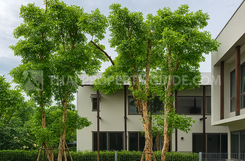 House with Shared Pool in Nichada Thani 